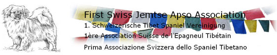 FSJAA / Assoication of Tibby Friends - Swiss